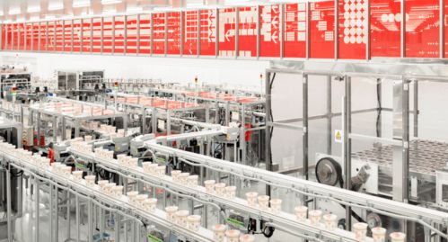 他为优衣库与日清施展设计魔法 一场在上海绽放的视觉盛宴